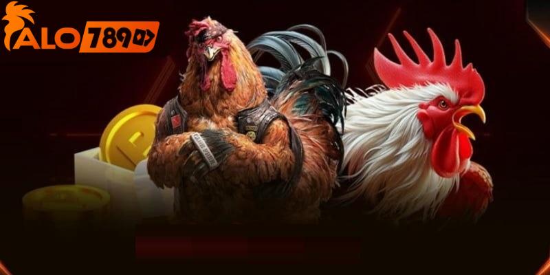 Chú ý khi tham gia vào nhà cái đá gà uy tín
