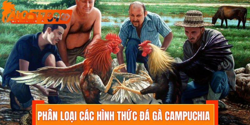Phân loại các hình thức đá gà Campuchia
