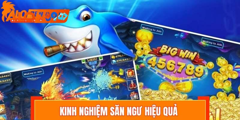 Kinh nghiệm săn ngư hiệu quả khi tham gia